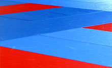 Une dizaine de pratiques martiales se partagent les trois dojos de Carcassonne Olympique : Judo, ju jutsu, karaté, taekwondo, aïkido, aikibudo, Yoseikan Budo, kendo.